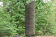 9 - Zipperlin Gedenkstein
